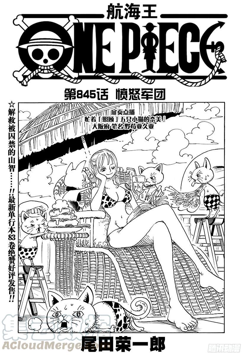 航海王韩漫全集-第845话 愤怒军团无删减无遮挡章节图片 