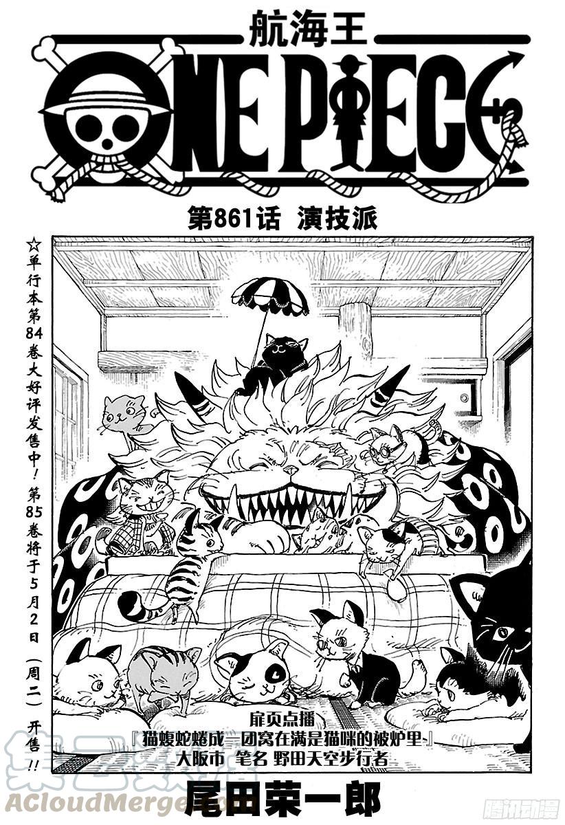 航海王韩漫全集-第861话 演技派无删减无遮挡章节图片 