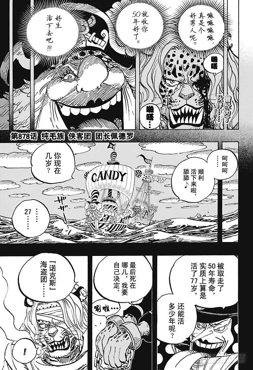 航海王韩漫全集-第878话 纯毛族 侠客团 团无删减无遮挡章节图片 