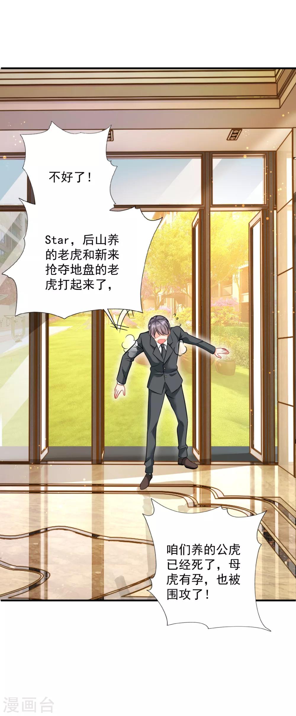 豪门天价前妻韩漫全集-第604话 石头，一起回洛城好吗？无删减无遮挡章节图片 