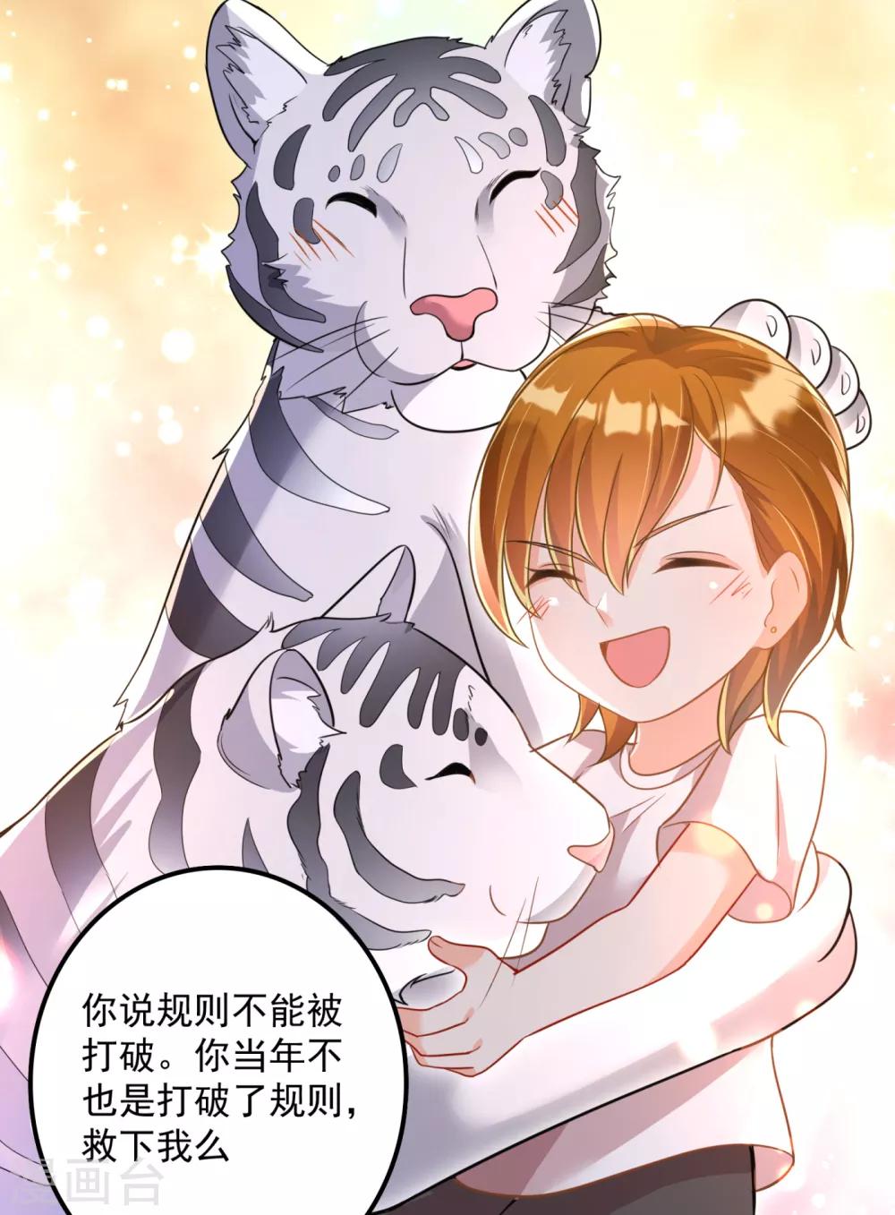 豪门天价前妻韩漫全集-第604话 石头，一起回洛城好吗？无删减无遮挡章节图片 