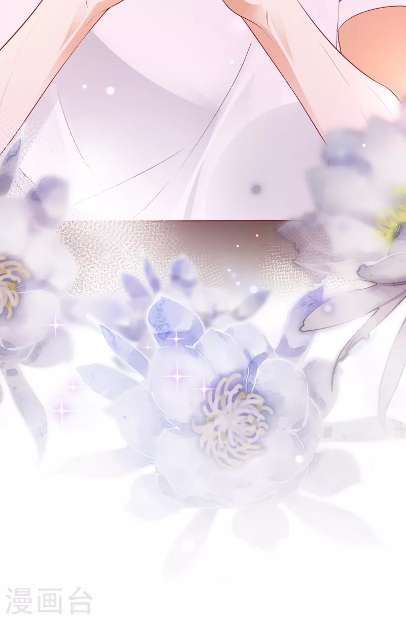 豪门天价前妻韩漫全集-第669话 我把自己赔进去了无删减无遮挡章节图片 