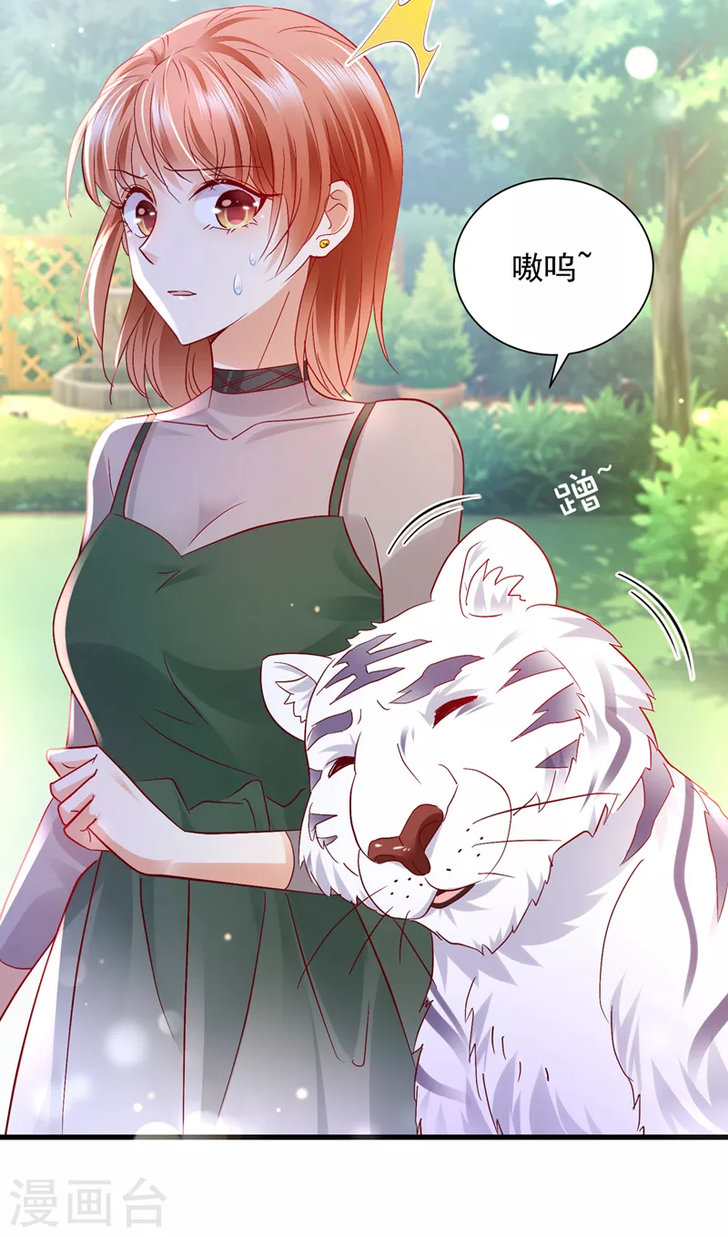 豪门天价前妻韩漫全集-第711话 和我一起养大猫吧？无删减无遮挡章节图片 