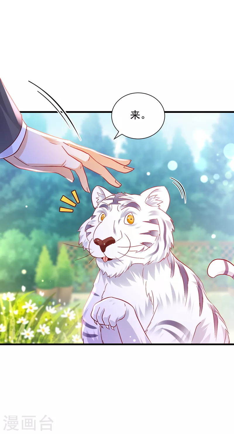 豪门天价前妻韩漫全集-第711话 和我一起养大猫吧？无删减无遮挡章节图片 