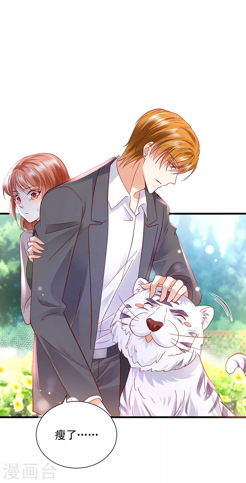 豪门天价前妻韩漫全集-第711话 和我一起养大猫吧？无删减无遮挡章节图片 