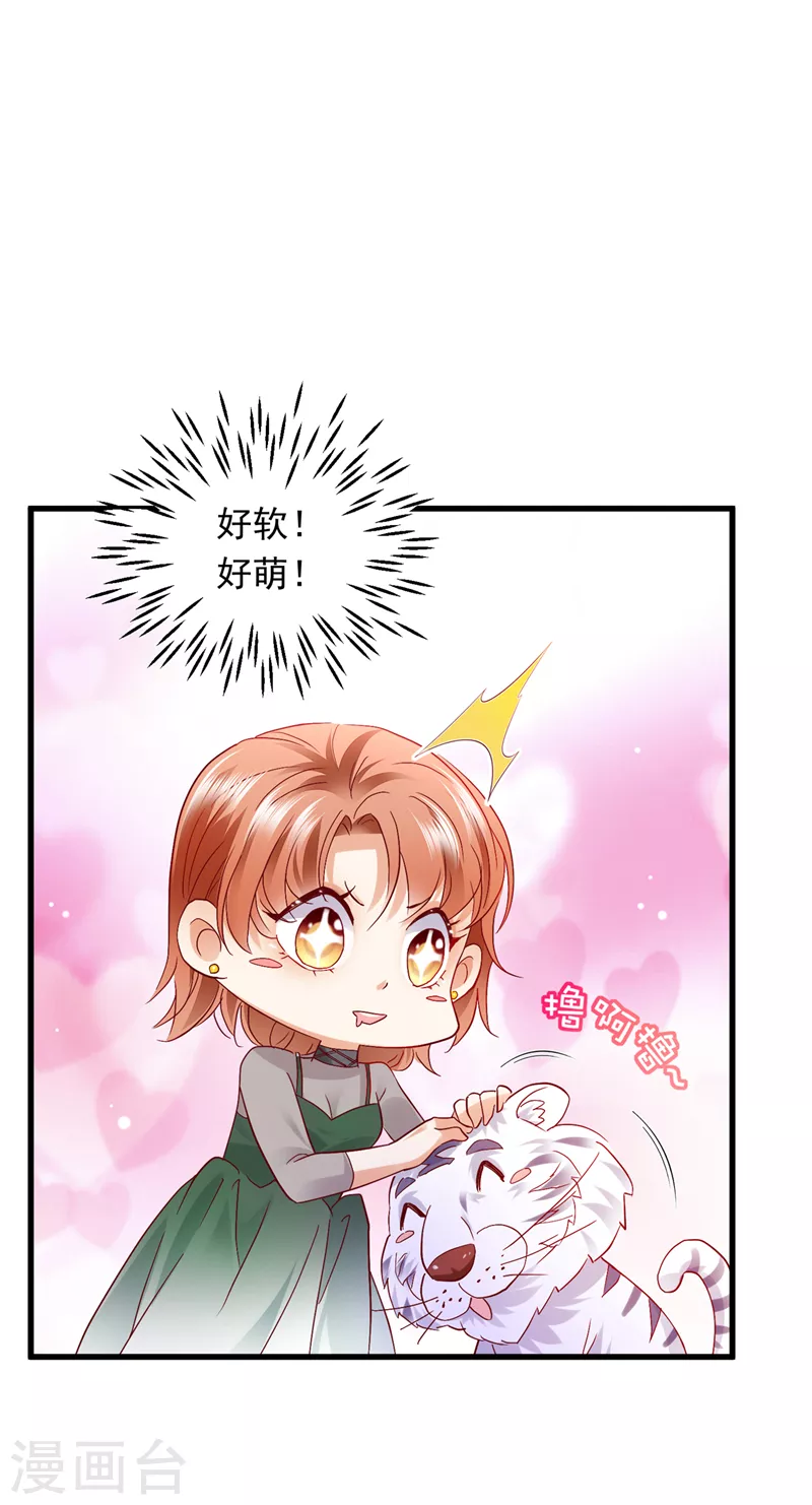 豪门天价前妻韩漫全集-第711话 和我一起养大猫吧？无删减无遮挡章节图片 