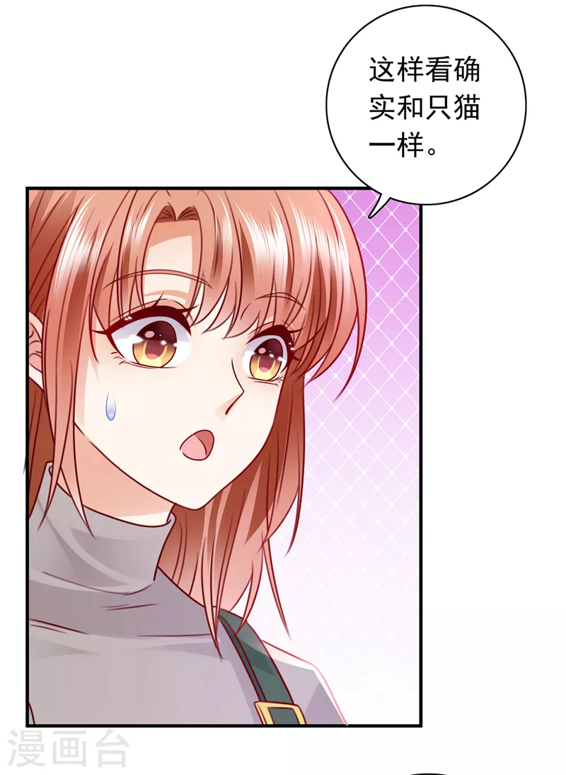 豪门天价前妻韩漫全集-第711话 和我一起养大猫吧？无删减无遮挡章节图片 