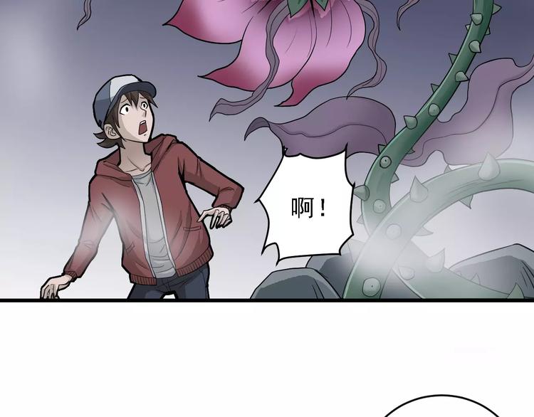 好奇怪韩漫全集-第12话 藏宝图之怪花无删减无遮挡章节图片 