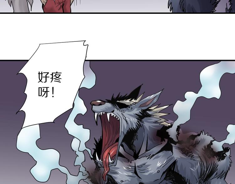 好奇怪韩漫全集-第67话  猎物！无删减无遮挡章节图片 
