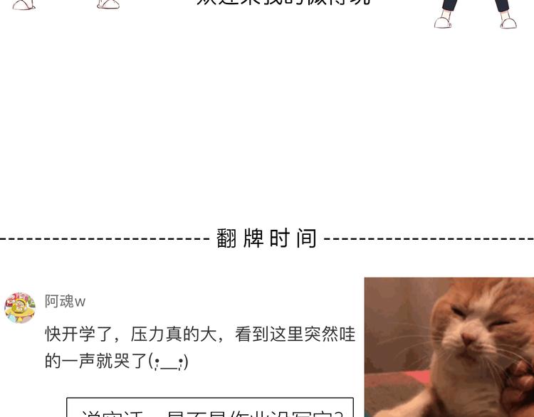 合法同居韩漫全集-第155话 笨蛋无删减无遮挡章节图片 