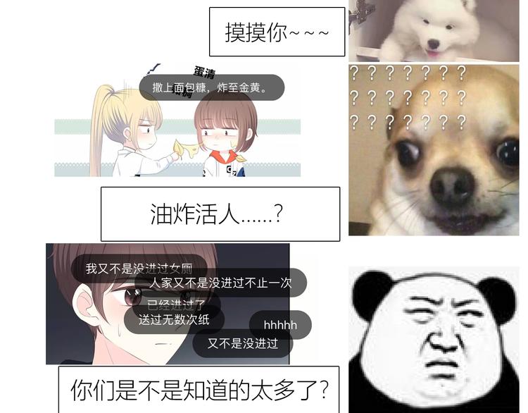 合法同居韩漫全集-第173话 他的目光无删减无遮挡章节图片 