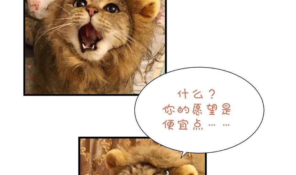 何故为卿狂韩漫全集-第166话 出事无删减无遮挡章节图片 