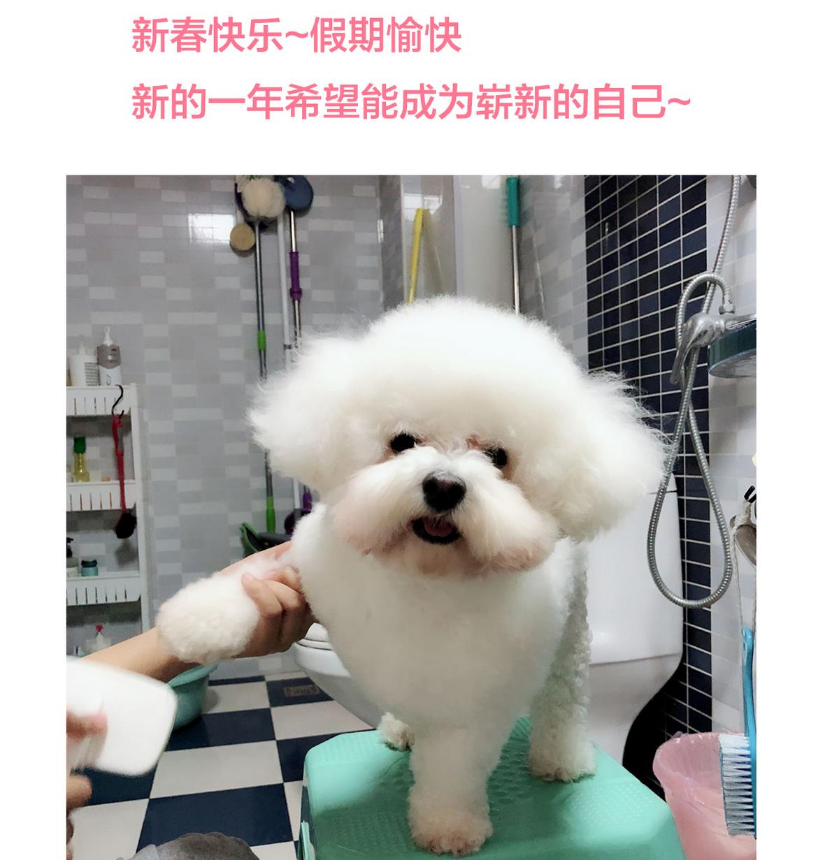 何故为卿狂韩漫全集-第184话 破解之法无删减无遮挡章节图片 