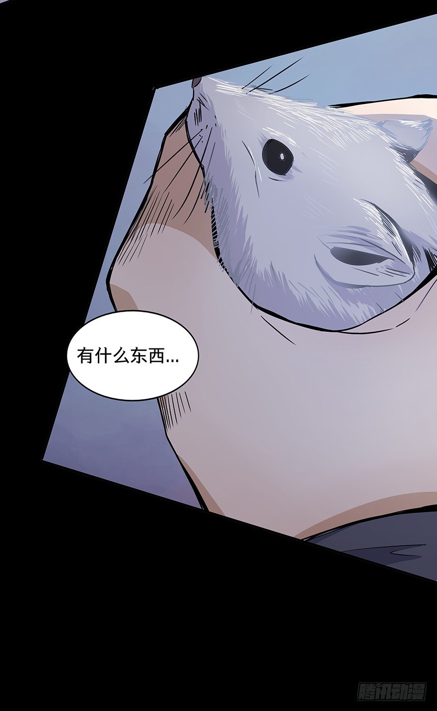 黑暗之证韩漫全集-23无删减无遮挡章节图片 
