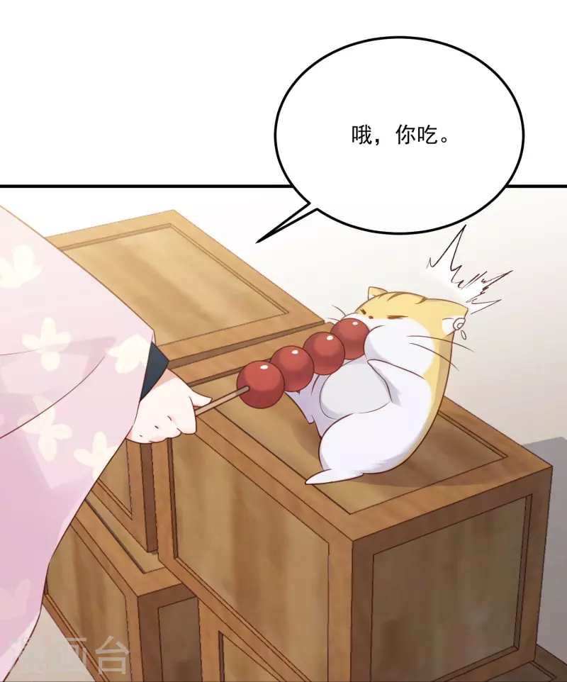 黑莲花学习手册韩漫全集-第52话 怪我知道的太多无删减无遮挡章节图片 