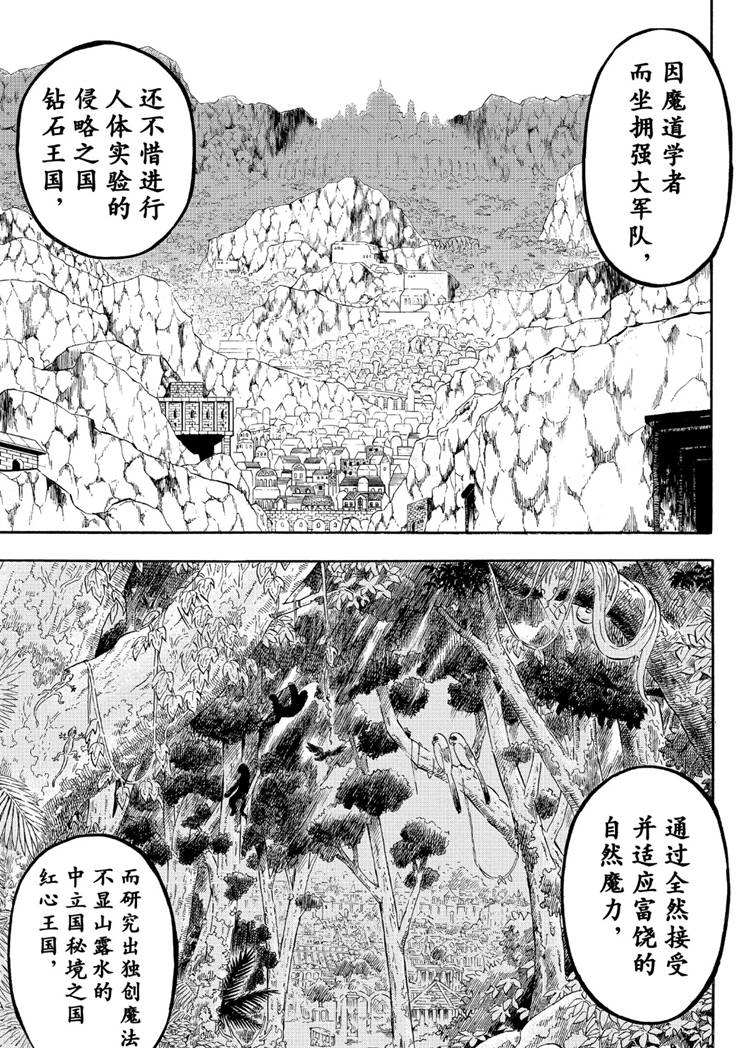 黑色四叶草韩漫全集-第216话无删减无遮挡章节图片 