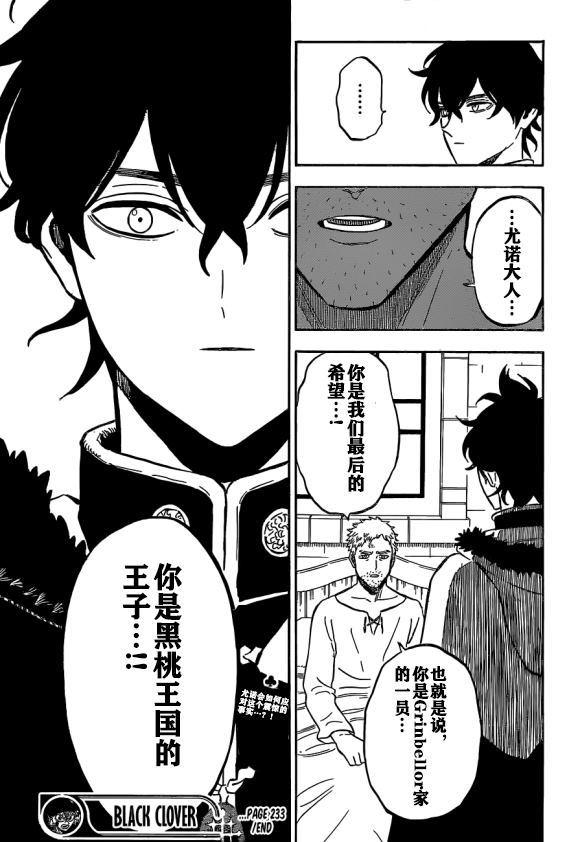 黑色四叶草韩漫全集-第233话无删减无遮挡章节图片 