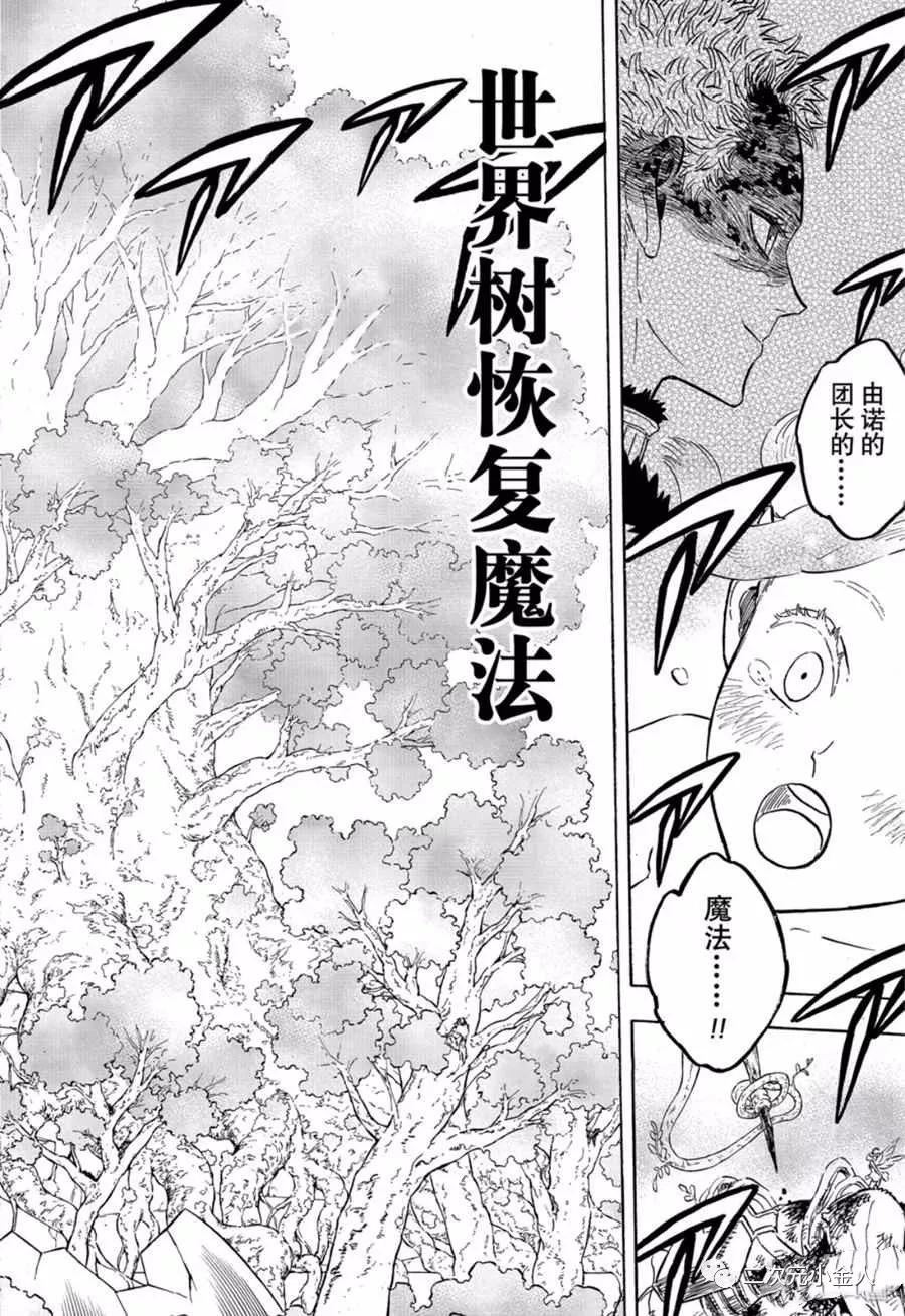 黑色四叶草韩漫全集-第239话无删减无遮挡章节图片 
