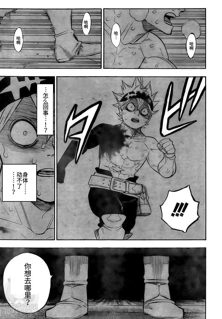 黑色四叶草韩漫全集-第262话 凌乱会议无删减无遮挡章节图片 