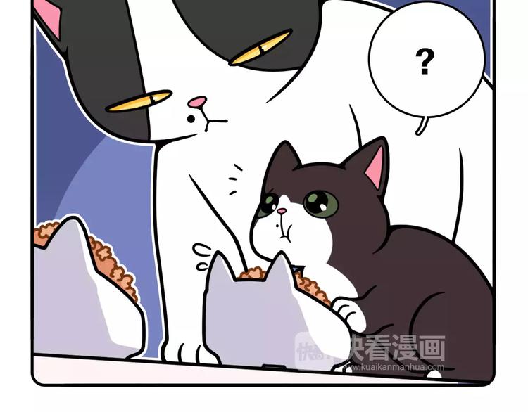 Hello余雪特韩漫全集-第11话无删减无遮挡章节图片 