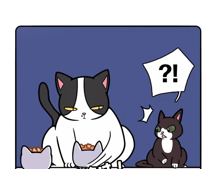 Hello余雪特韩漫全集-第11话无删减无遮挡章节图片 