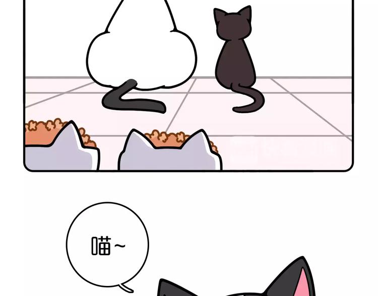 Hello余雪特韩漫全集-第11话无删减无遮挡章节图片 