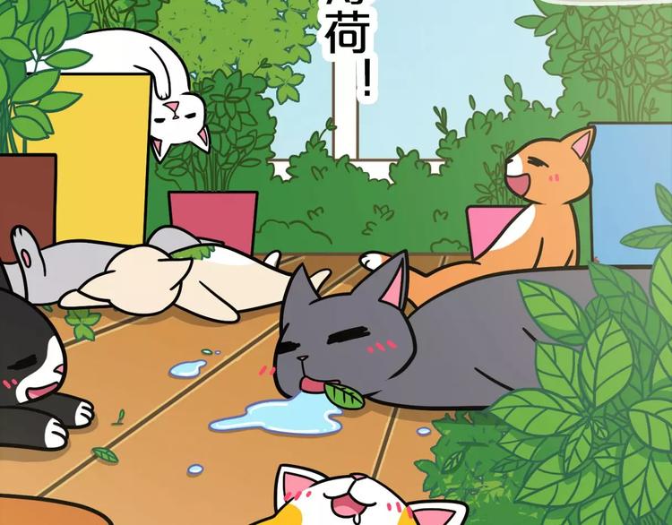 Hello余雪特韩漫全集-第16话无删减无遮挡章节图片 