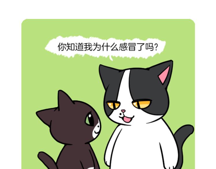 Hello余雪特韩漫全集-第29话无删减无遮挡章节图片 
