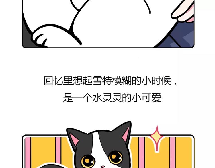 Hello余雪特韩漫全集-第4话无删减无遮挡章节图片 