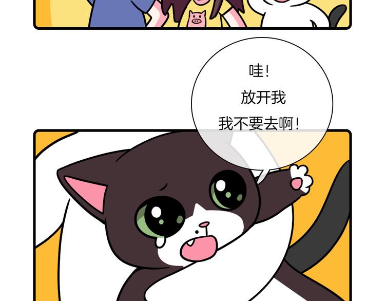 Hello余雪特韩漫全集-第32话无删减无遮挡章节图片 