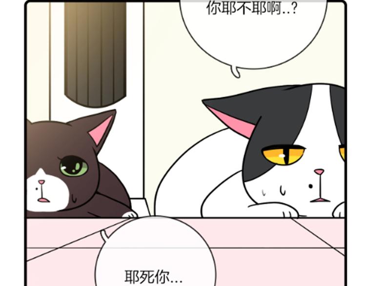 Hello余雪特韩漫全集-第35话无删减无遮挡章节图片 