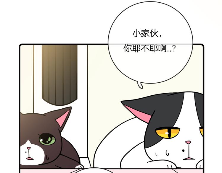 Hello余雪特韩漫全集-第35话无删减无遮挡章节图片 