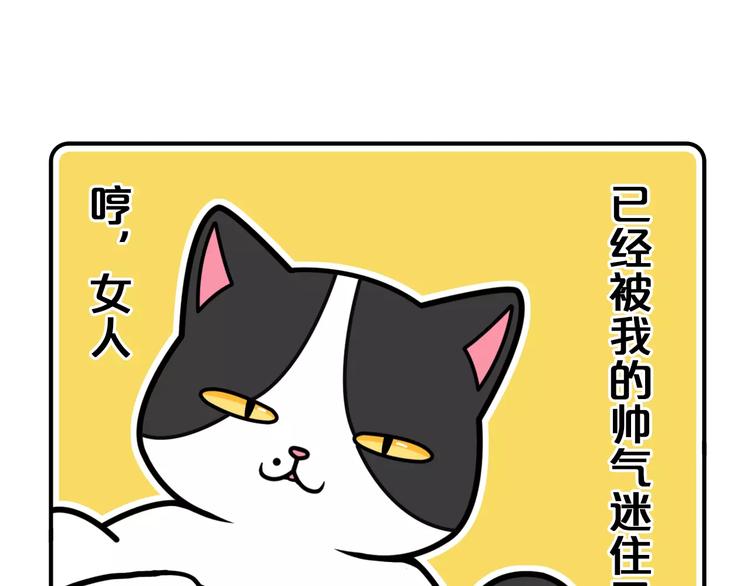 Hello余雪特韩漫全集-第5话无删减无遮挡章节图片 