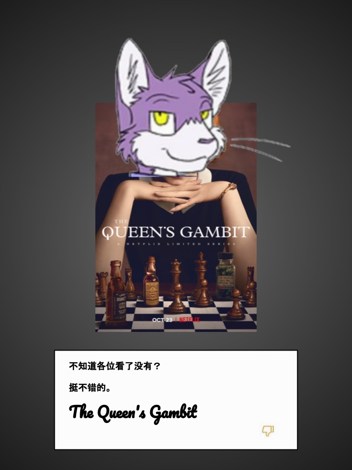 Housepets!韩漫全集-第192话无删减无遮挡章节图片 