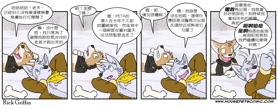 Housepets!韩漫全集-第213话无删减无遮挡章节图片 