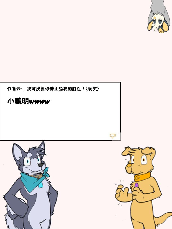 Housepets!-第250话全彩韩漫标签