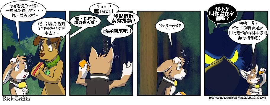 Housepets!韩漫全集-第289话无删减无遮挡章节图片 
