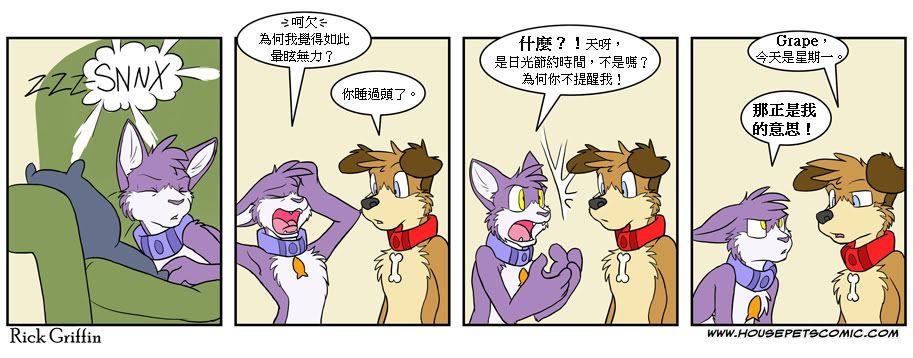 Housepets!-第382话全彩韩漫标签