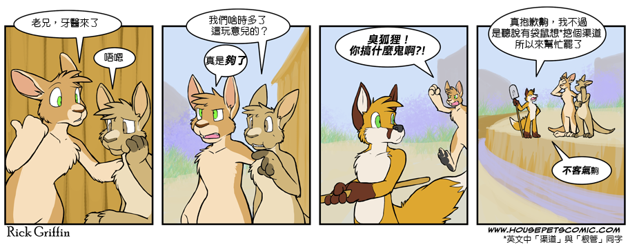 Housepets!韩漫全集-第416话无删减无遮挡章节图片 