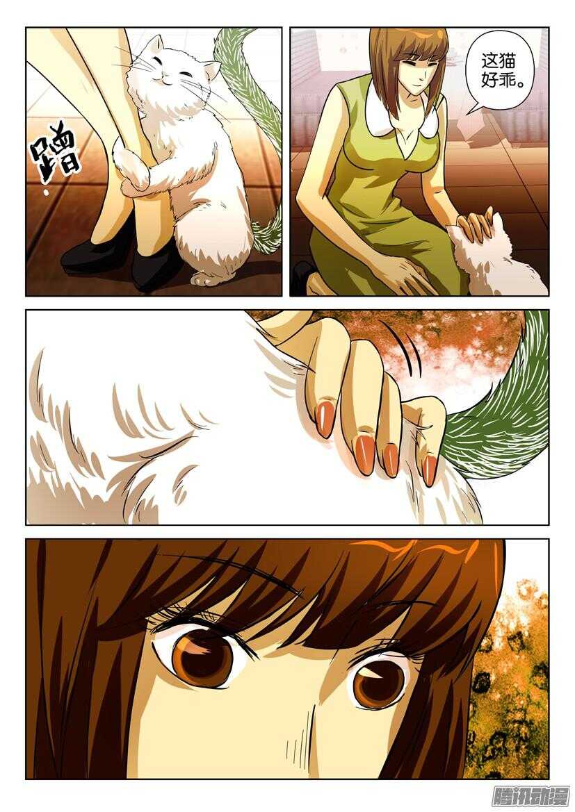花悸韩漫全集-第一百六十四回 猫尾的恐惧无删减无遮挡章节图片 