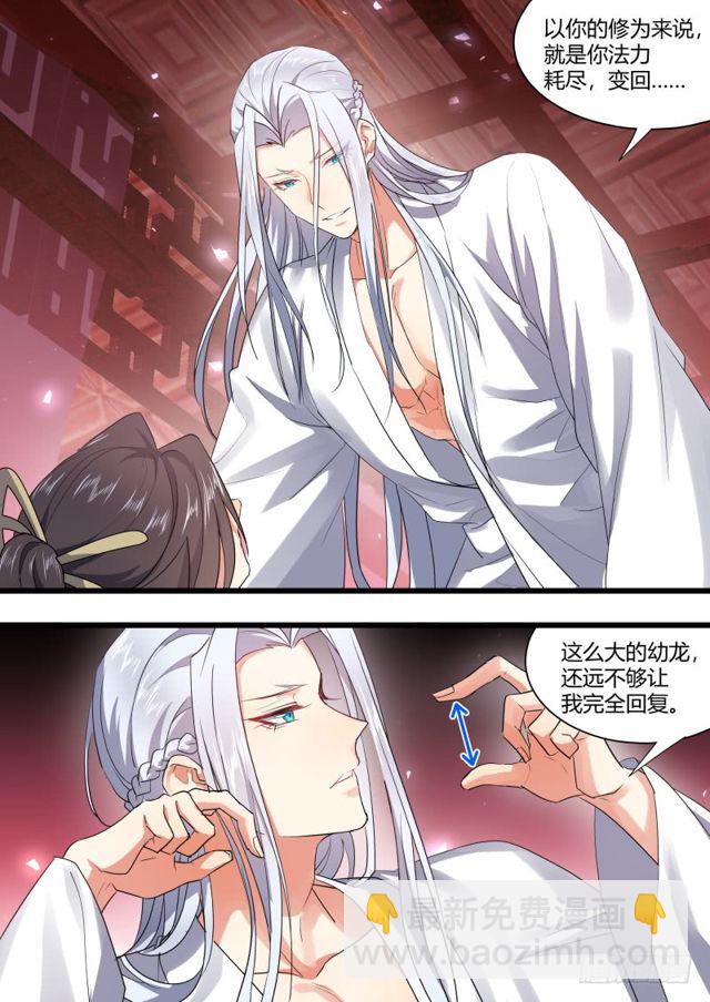 化龙记韩漫全集-第104章.结发之盟﹙上﹚无删减无遮挡章节图片 