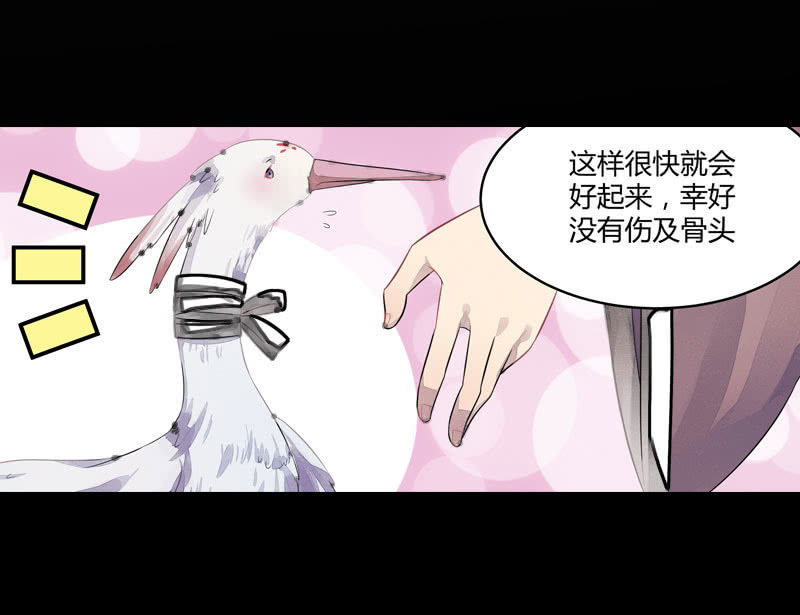 花落一梦韩漫全集-梦里花落无删减无遮挡章节图片 