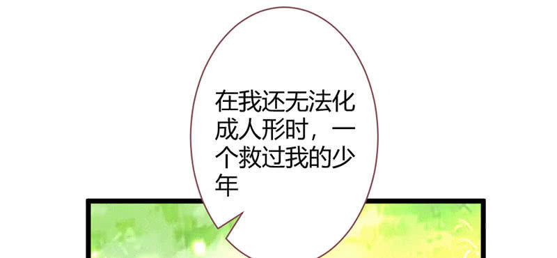 花落一梦韩漫全集-你究竟是谁？无删减无遮挡章节图片 