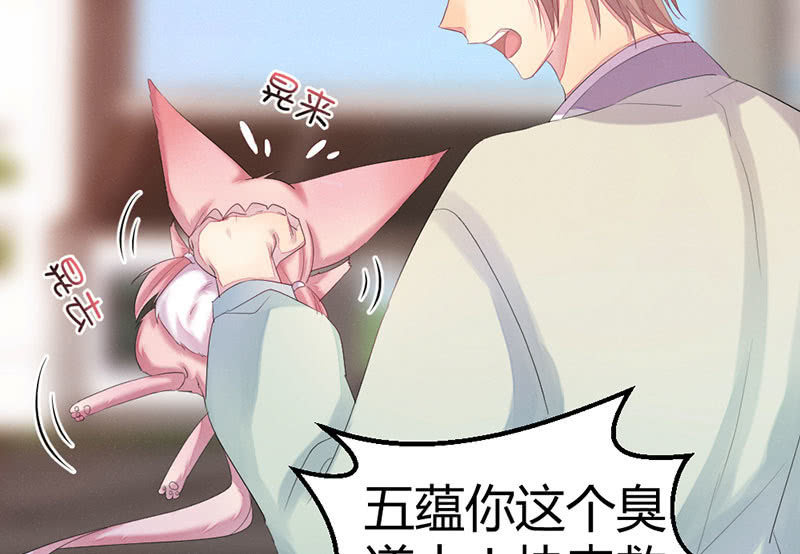花落一梦韩漫全集-五蕴你这个大笨蛋！无删减无遮挡章节图片 