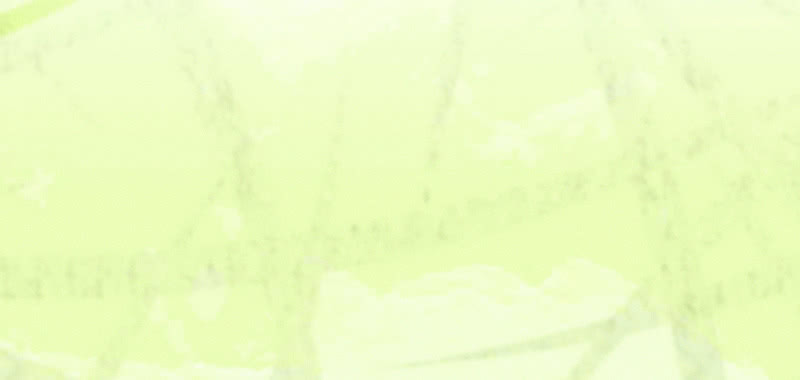 花落一梦韩漫全集-我们走吧无删减无遮挡章节图片 