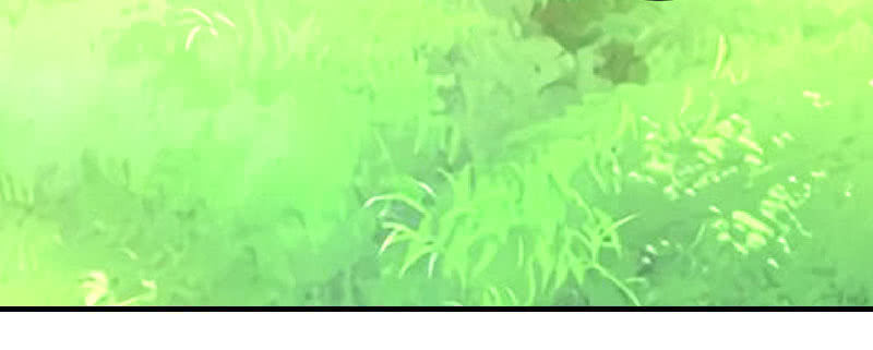 花落一梦韩漫全集-就这样，死了么？无删减无遮挡章节图片 
