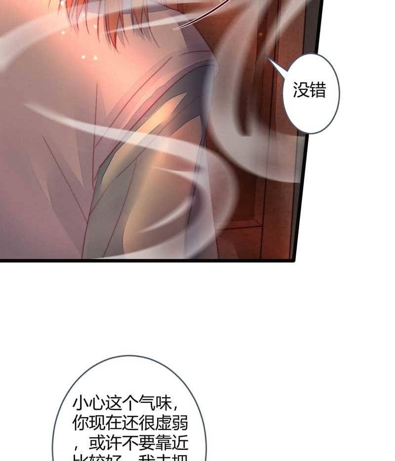 花落一梦韩漫全集-你杀不了我的无删减无遮挡章节图片 