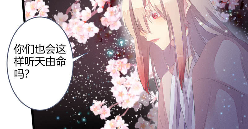 花落一梦韩漫全集-有话对你说无删减无遮挡章节图片 