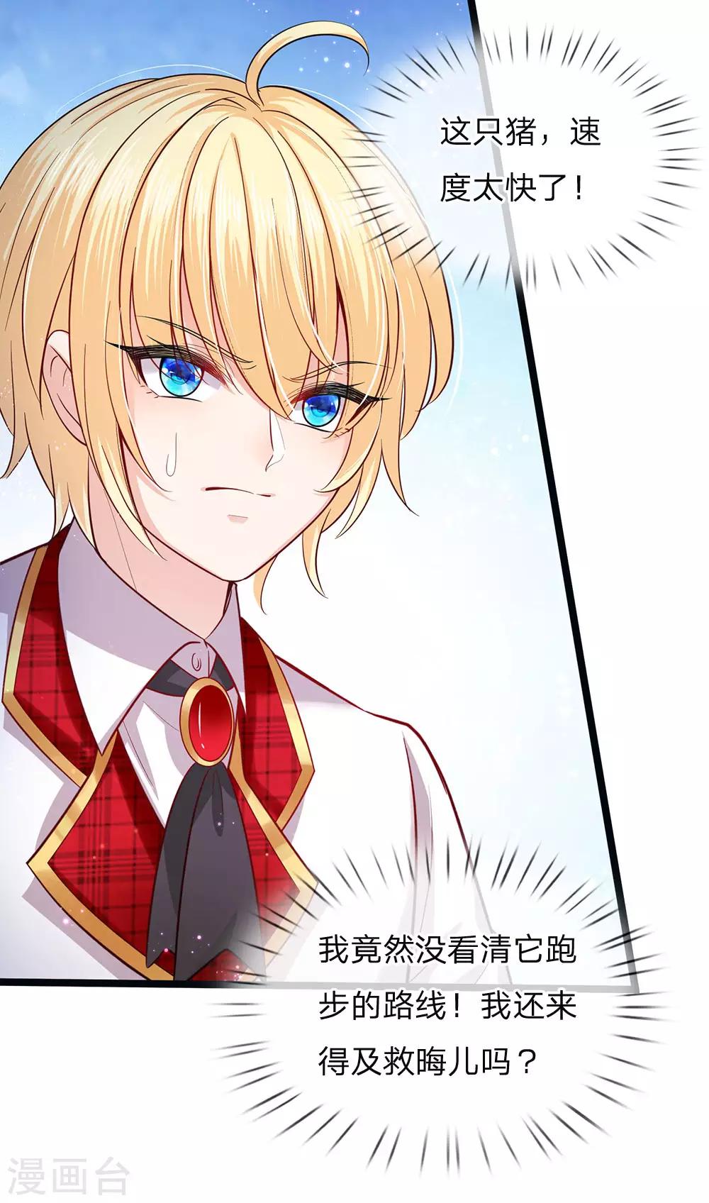 皇帝陛下的天价宝贝韩漫全集-第150话 猪猪认主无删减无遮挡章节图片 