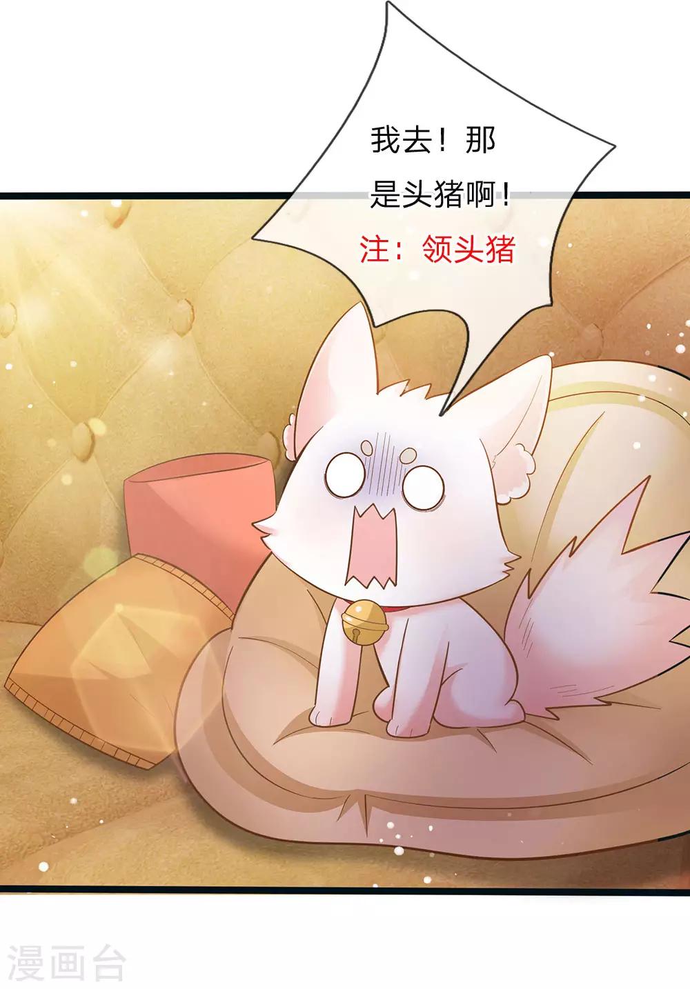 皇帝陛下的天价宝贝韩漫全集-第150话 猪猪认主无删减无遮挡章节图片 